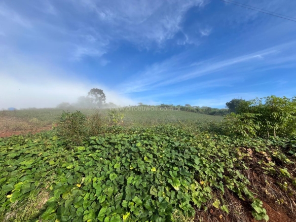 chacara a venda em chapeco