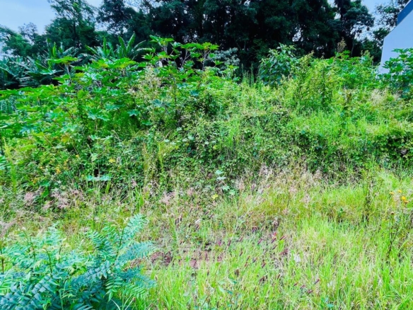 terreno a venda walville chapeco