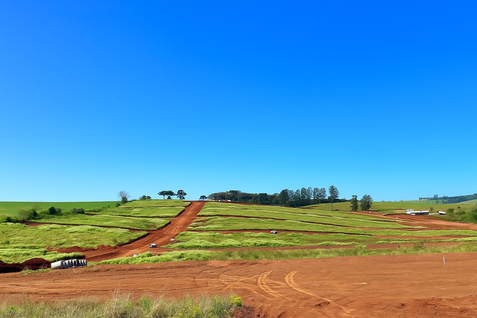 florescer-mePggKq523HjB0EE